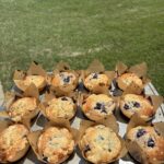 A full tray of bakery-style blueberry muffins cooling outside in bright sunlight. Moist, buttery blueberry muffins inspired by Jordan Marsh, topped with crunchy cinnamon streusel. The ultimate bakery-style muffin you can make at home! blueberry muffins, bakery-style muffins, Jordan Marsh muffins, crumb topping, blueberry streusel muffins, summer baking, muffin recipe, easy muffin recipe
