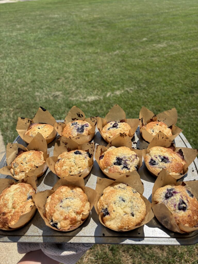 A full tray of bakery-style blueberry muffins cooling outside in bright sunlight. Moist, buttery blueberry muffins inspired by Jordan Marsh, topped with crunchy cinnamon streusel. The ultimate bakery-style muffin you can make at home! blueberry muffins, bakery-style muffins, Jordan Marsh muffins, crumb topping, blueberry streusel muffins, summer baking, muffin recipe, easy muffin recipe